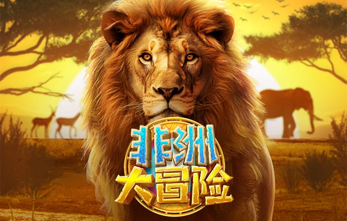 42982金牛网论坛